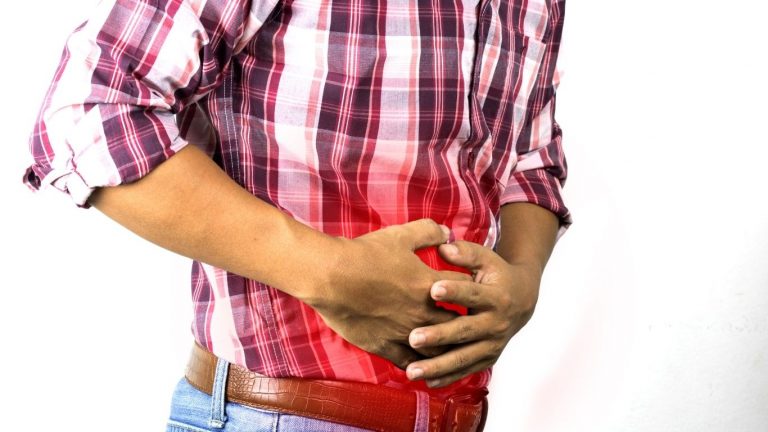 Gut Digestion